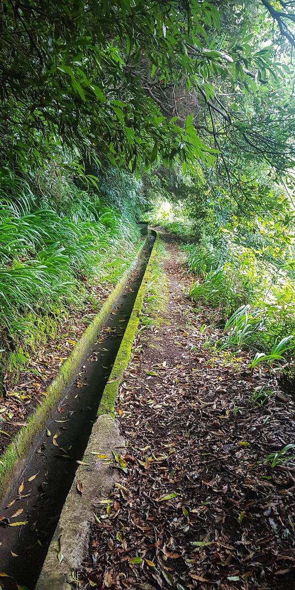 09.08.2021 Abwechslungsreiche Runde über die Boca das Voltas — Aufstieg zur Levada das Faias und auf dieser zum dritten Niveauübergang — Foto 3