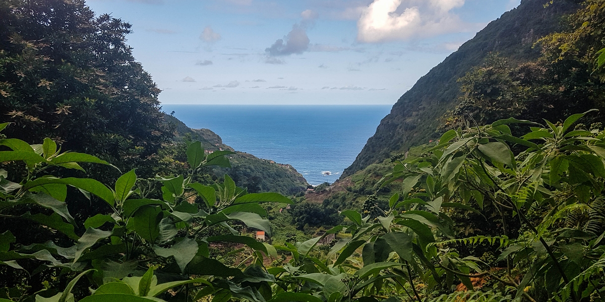 09.08.2021 Abwechslungsreiche Runde über die Boca das Voltas — Aufstieg zur Levada das Faias und auf dieser zum dritten Niveauübergang — Foto 4