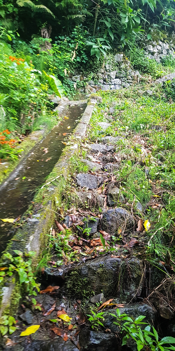 09.08.2021 Abwechslungsreiche Runde über die Boca das Voltas — Aufstieg zur Levada das Faias und auf dieser zum dritten Niveauübergang — Foto 6