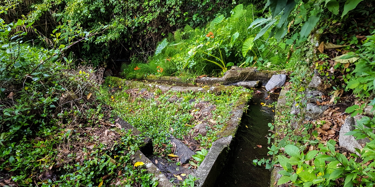 09.08.2021 Abwechslungsreiche Runde über die Boca das Voltas — Aufstieg zur Levada das Faias und auf dieser zum dritten Niveauübergang — Foto 7