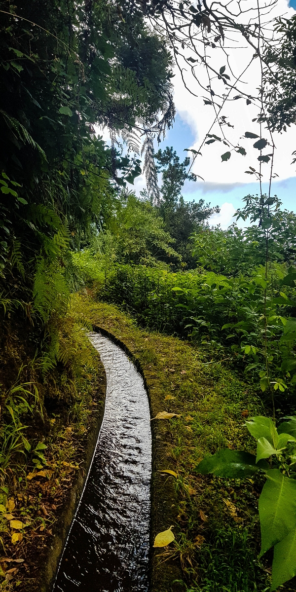09.08.2021 Abwechslungsreiche Runde über die Boca das Voltas — Der erste Niveauübergang Weiter auf der Levada das Faias — Foto 1