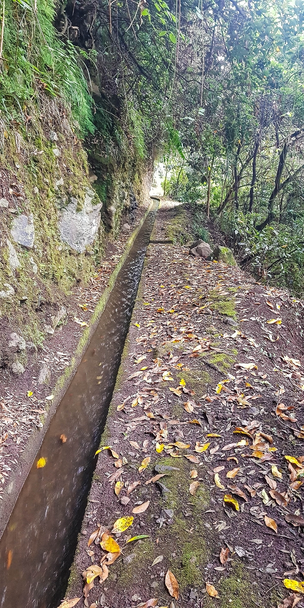 09.08.2021 Abwechslungsreiche Runde über die Boca das Voltas — Der erste Niveauübergang Weiter auf der Levada das Faias — Foto 2