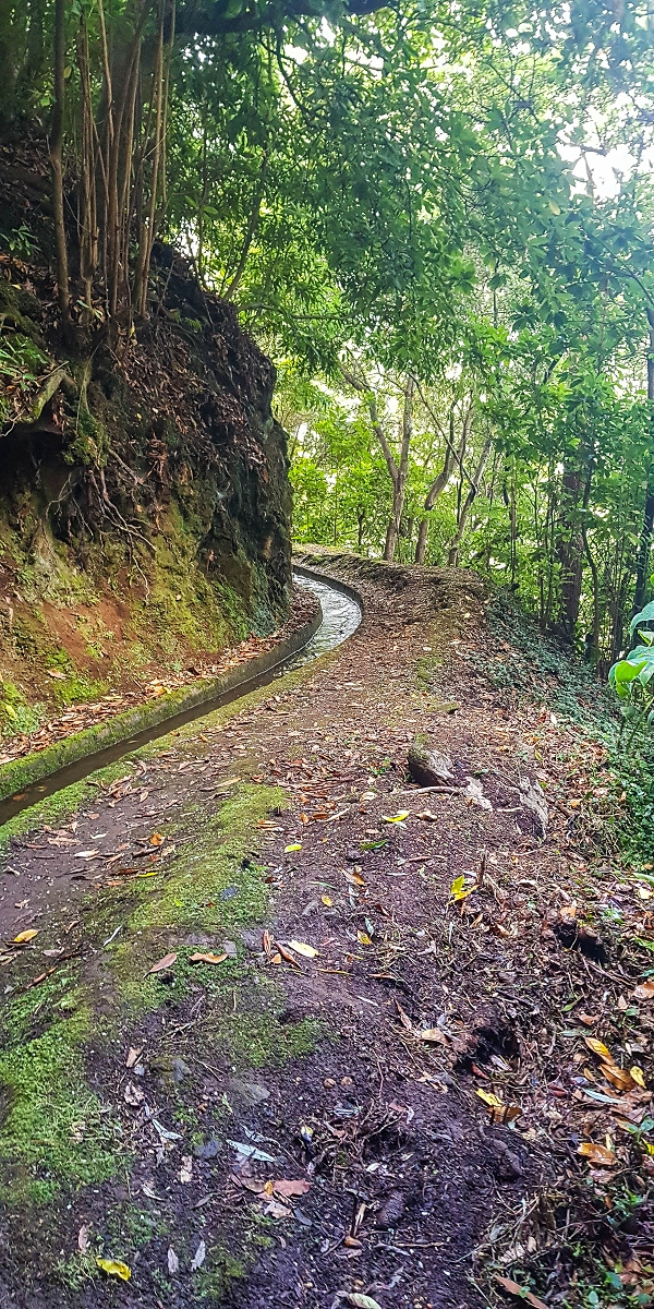 09.08.2021 Abwechslungsreiche Runde über die Boca das Voltas — Der erste Niveauübergang Weiter auf der Levada das Faias — Foto 3