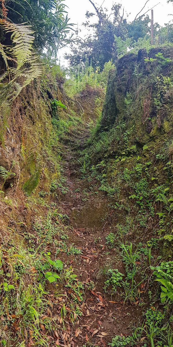09.08.2021 Abwechslungsreiche Runde über die Boca das Voltas — Aufstieg zur Boca das Voltas — Foto 4
