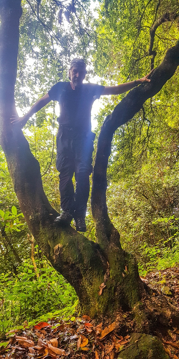 09.08.2021 Abwechslungsreiche Runde über die Boca das Voltas — Aufstieg zur Boca das Voltas — Foto 6