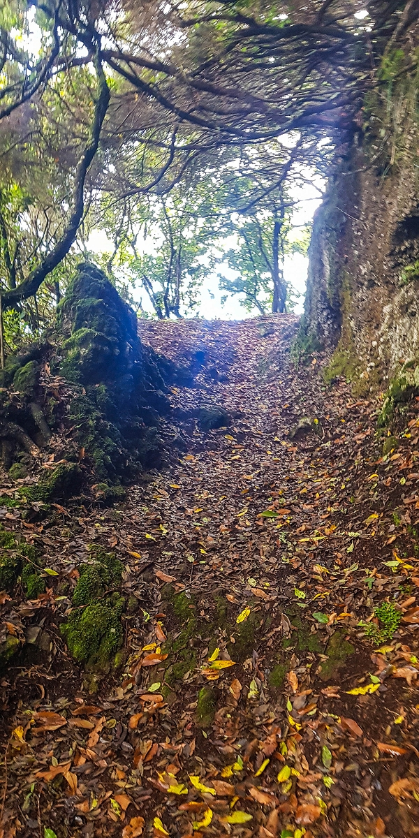 09.08.2021 Abwechslungsreiche Runde über die Boca das Voltas — Aufstieg zur Boca das Voltas — Foto 8