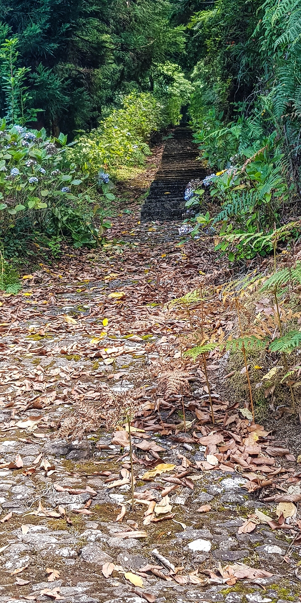 09.08.2021 Abwechslungsreiche Runde über die Boca das Voltas — Abstieg nach Arco de Sao Jorge — Foto 1