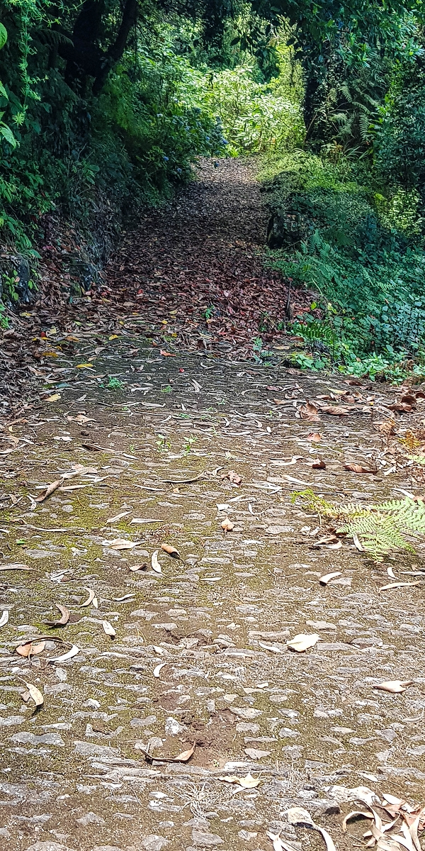 09.08.2021 Abwechslungsreiche Runde über die Boca das Voltas — Abstieg nach Arco de Sao Jorge — Foto 2