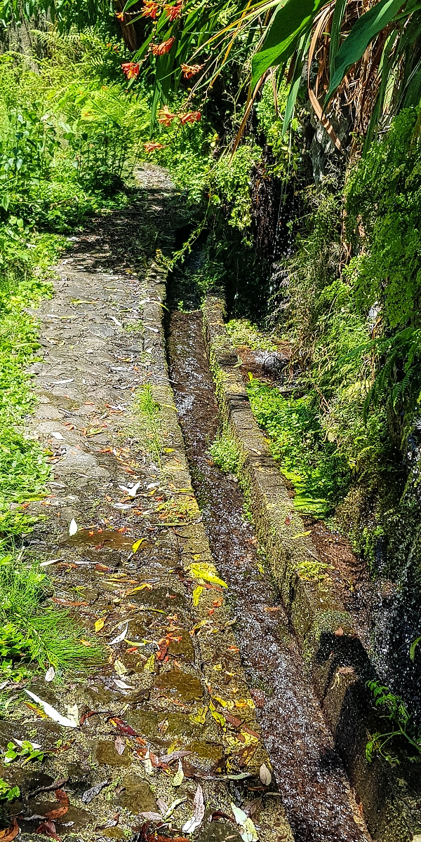 09.08.2021 Abwechslungsreiche Runde über die Boca das Voltas — Abstieg nach Arco de Sao Jorge — Foto 3