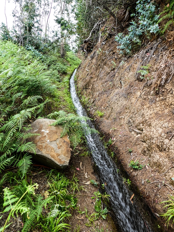 Levada do Lombo do Mouro — Nach der Furnaspiste verläuft die Levada deutlich neben der Schotterpiste mit eigenem Weg — Foto 6