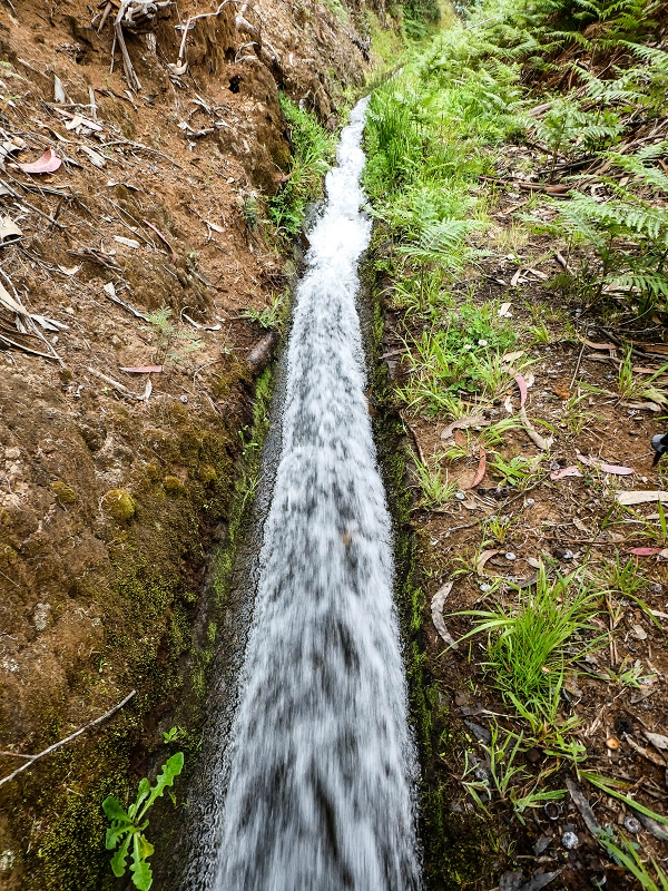 Levada do Lombo do Mouro — Nach der Furnaspiste verläuft die Levada deutlich neben der Schotterpiste mit eigenem Weg — Foto 7