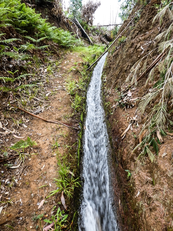 10.05.2019 Von Meia Legua nach Pomar de Rocha, auf die Levada do Lombo do Mouro und Abstieg über Furnas — Der Levada do Lombo do Mouro entlang zum Abstiegsweg nach Furnas — Foto 12