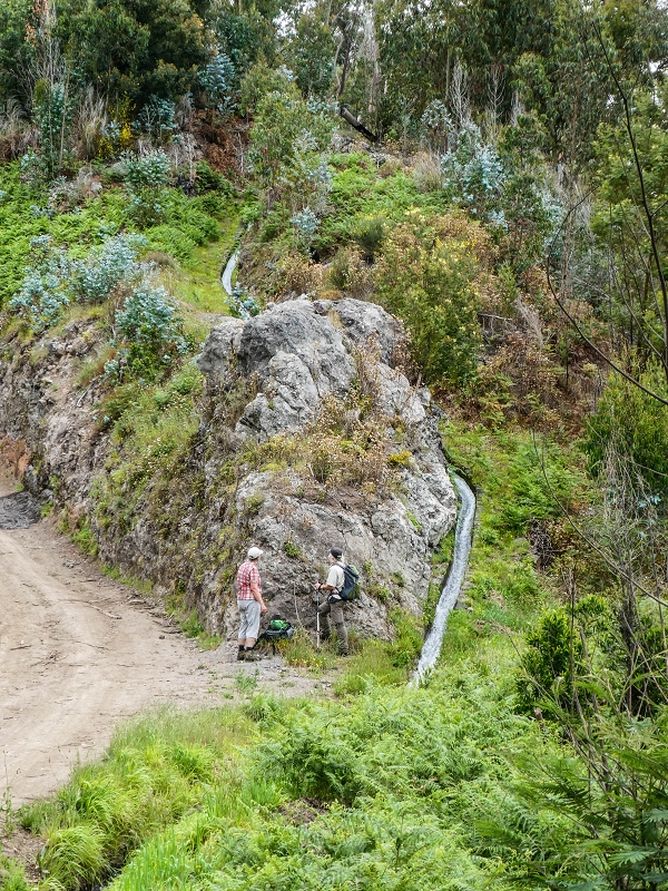 Levada do Lombo do Mouro — Nach der Furnaspiste verläuft die Levada deutlich neben der Schotterpiste mit eigenem Weg — Foto 5