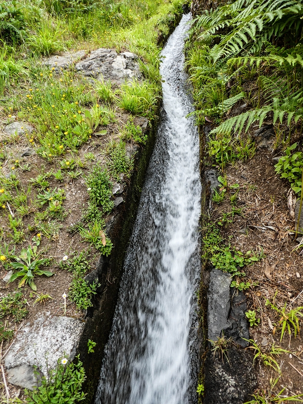 10.05.2019 Von Meia Legua nach Pomar de Rocha, auf die Levada do Lombo do Mouro und Abstieg über Furnas — Der Levada do Lombo do Mouro entlang zum Abstiegsweg nach Furnas — Foto 14