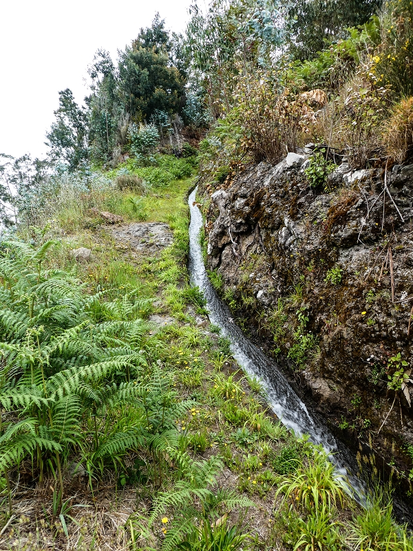 10.05.2019 Von Meia Legua nach Pomar de Rocha, auf die Levada do Lombo do Mouro und Abstieg über Furnas — Der Levada do Lombo do Mouro entlang zum Abstiegsweg nach Furnas — Foto 15