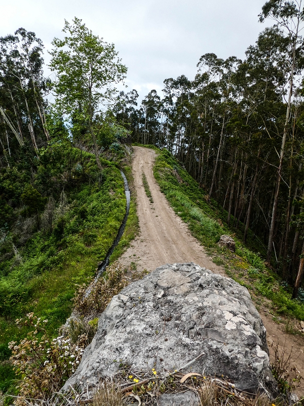 10.05.2019 Von Meia Legua nach Pomar de Rocha, auf die Levada do Lombo do Mouro und Abstieg über Furnas — Der Levada do Lombo do Mouro entlang zum Abstiegsweg nach Furnas — Foto 16