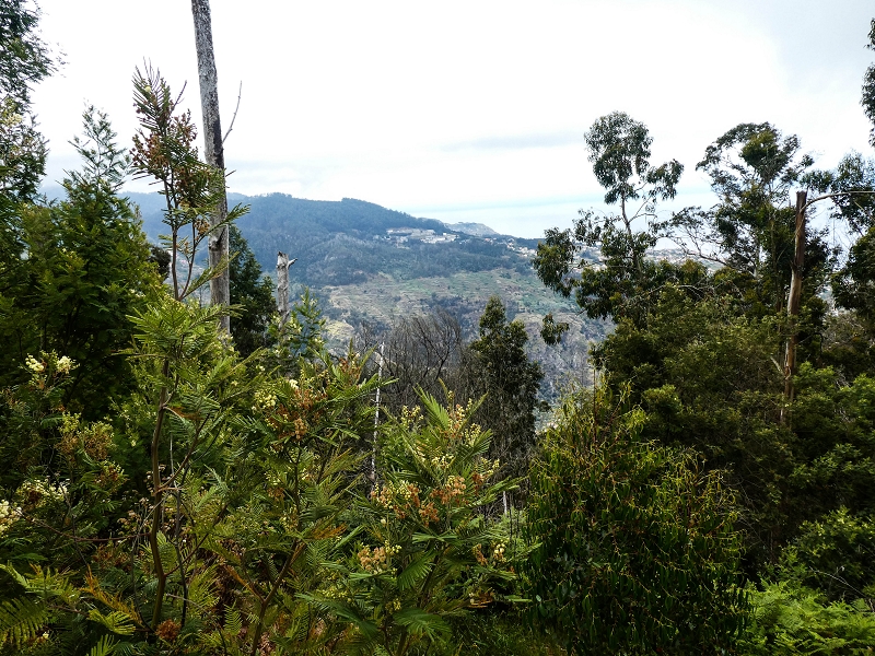 10.05.2019 Von Meia Legua nach Pomar de Rocha, auf die Levada do Lombo do Mouro und Abstieg über Furnas — Der Levada do Lombo do Mouro entlang zum Abstiegsweg nach Furnas — Foto 17