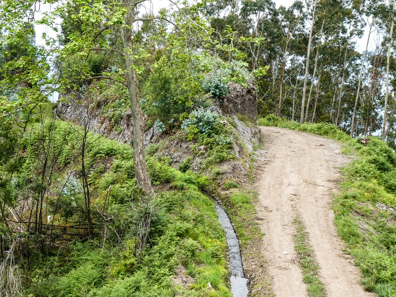10.05.2019 Von Meia Legua nach Pomar de Rocha, auf die Levada do Lombo do Mouro und Abstieg über Furnas — Der Levada do Lombo do Mouro entlang zum Abstiegsweg nach Furnas — Foto 18