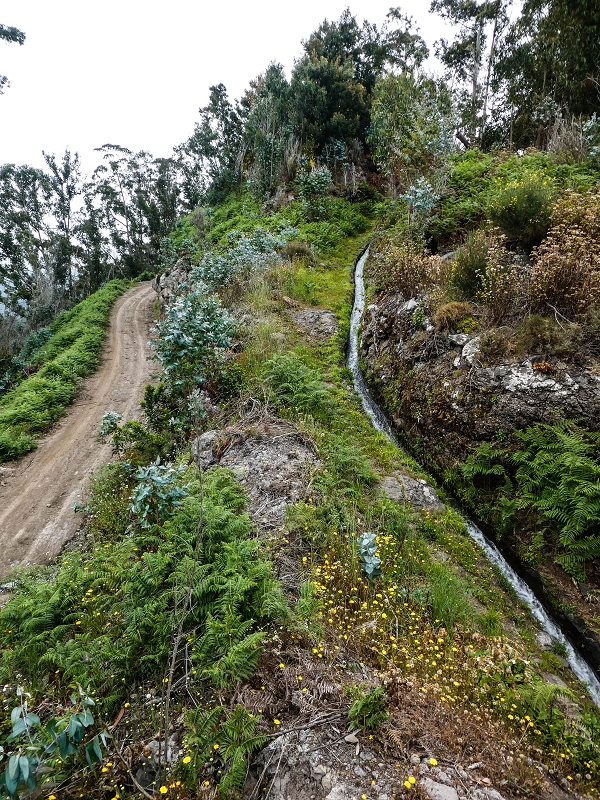 Levada do Lombo do Mouro — Nach der Furnaspiste verläuft die Levada deutlich neben der Schotterpiste mit eigenem Weg — Foto 4