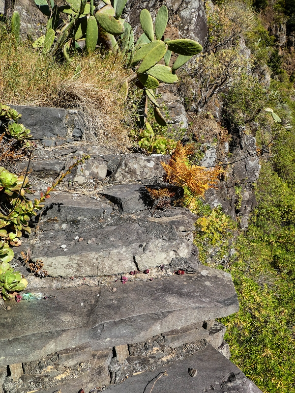 10.05.2019 Von Meia Legua nach Pomar de Rocha, auf die Levada do Lombo do Mouro und Abstieg über Furnas — Aufstieg zum überhängenden Felsblock — Foto 9