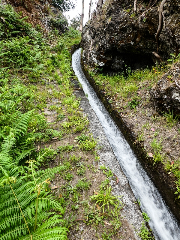 10.05.2019 Von Meia Legua nach Pomar de Rocha, auf die Levada do Lombo do Mouro und Abstieg über Furnas — Der Levada do Lombo do Mouro entlang zum Abstiegsweg nach Furnas — Foto 20