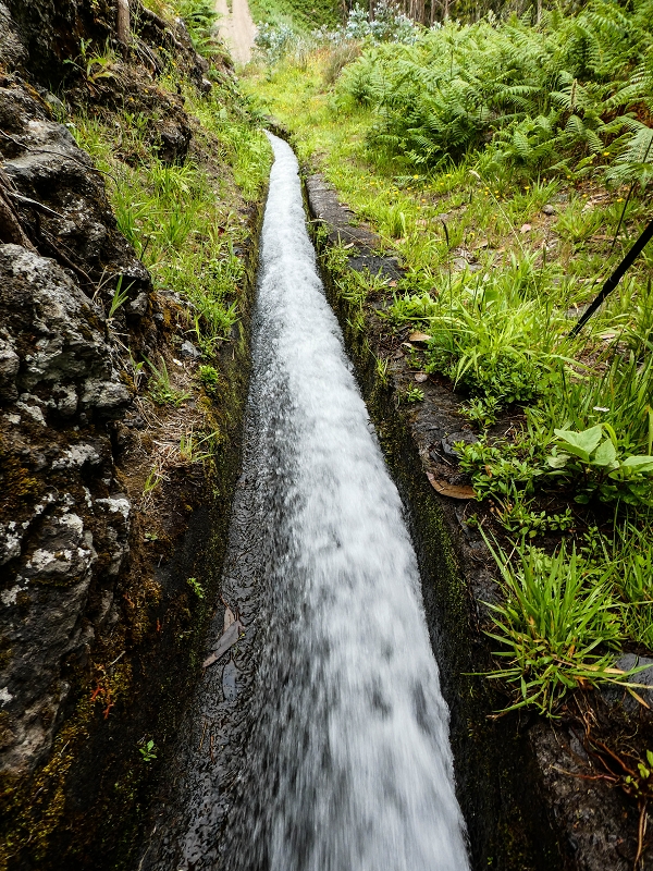 10.05.2019 Von Meia Legua nach Pomar de Rocha, auf die Levada do Lombo do Mouro und Abstieg über Furnas — Der Levada do Lombo do Mouro entlang zum Abstiegsweg nach Furnas — Foto 21