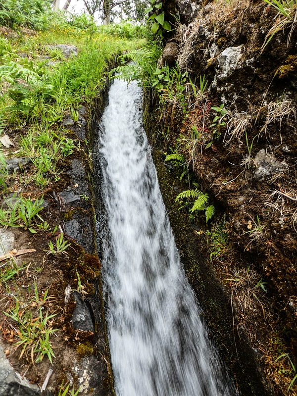 10.05.2019 Von Meia Legua nach Pomar de Rocha, auf die Levada do Lombo do Mouro und Abstieg über Furnas — Der Levada do Lombo do Mouro entlang zum Abstiegsweg nach Furnas — Foto 22