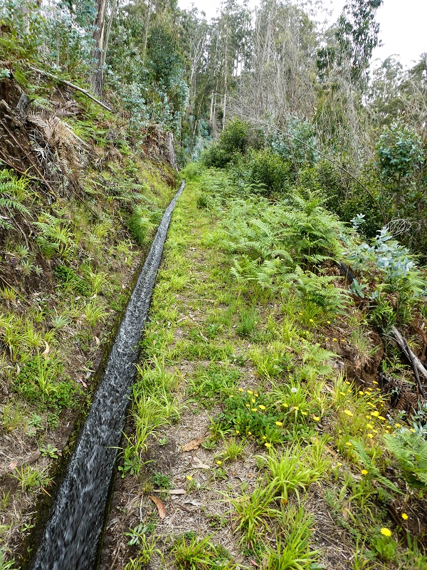 10.05.2019 Von Meia Legua nach Pomar de Rocha, auf die Levada do Lombo do Mouro und Abstieg über Furnas — Der Levada do Lombo do Mouro entlang zum Abstiegsweg nach Furnas — Foto 27