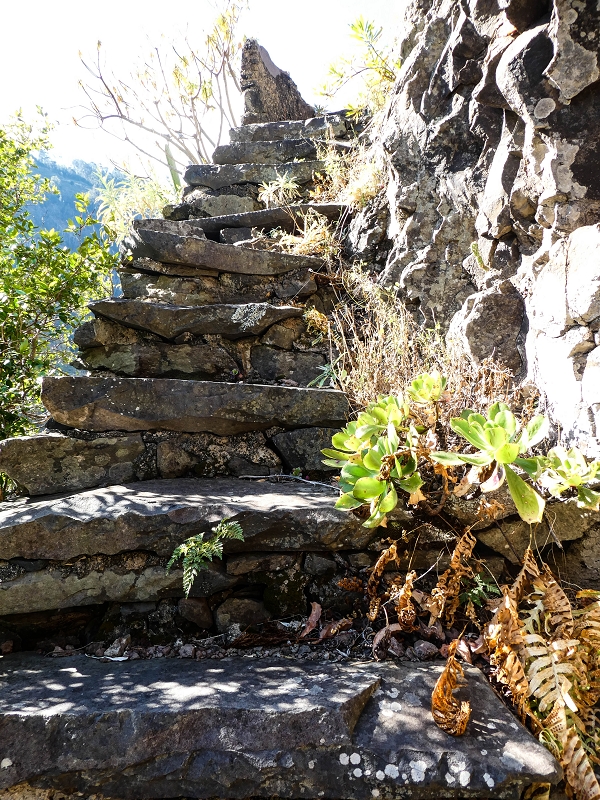 10.05.2019 Von Meia Legua nach Pomar de Rocha, auf die Levada do Lombo do Mouro und Abstieg über Furnas — Aufstieg zum überhängenden Felsblock — Foto 10