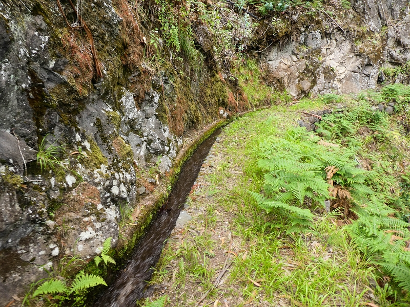 10.05.2019 Von Meia Legua nach Pomar de Rocha, auf die Levada do Lombo do Mouro und Abstieg über Furnas — Der Levada do Lombo do Mouro entlang zum Abstiegsweg nach Furnas — Foto 37