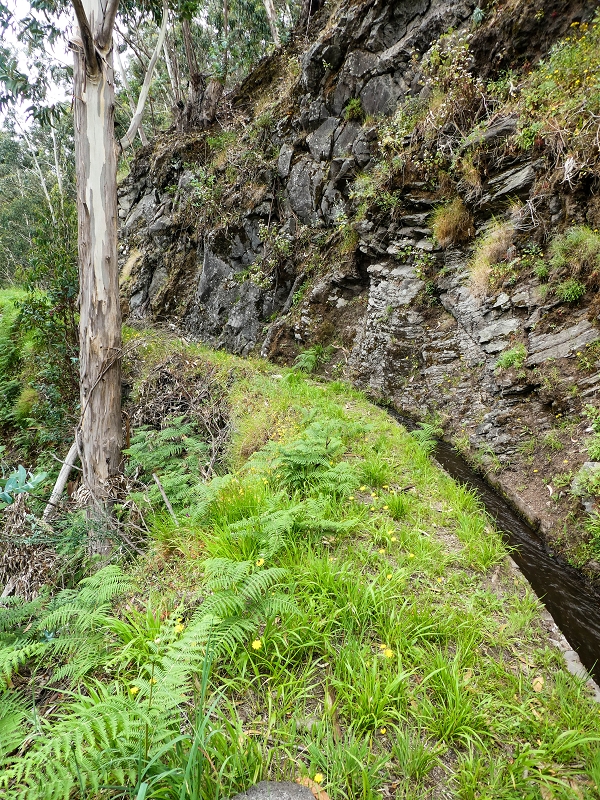 Levada do Lombo do Mouro — Nach der Furnaspiste verläuft die Levada deutlich neben der Schotterpiste mit eigenem Weg — Foto 2
