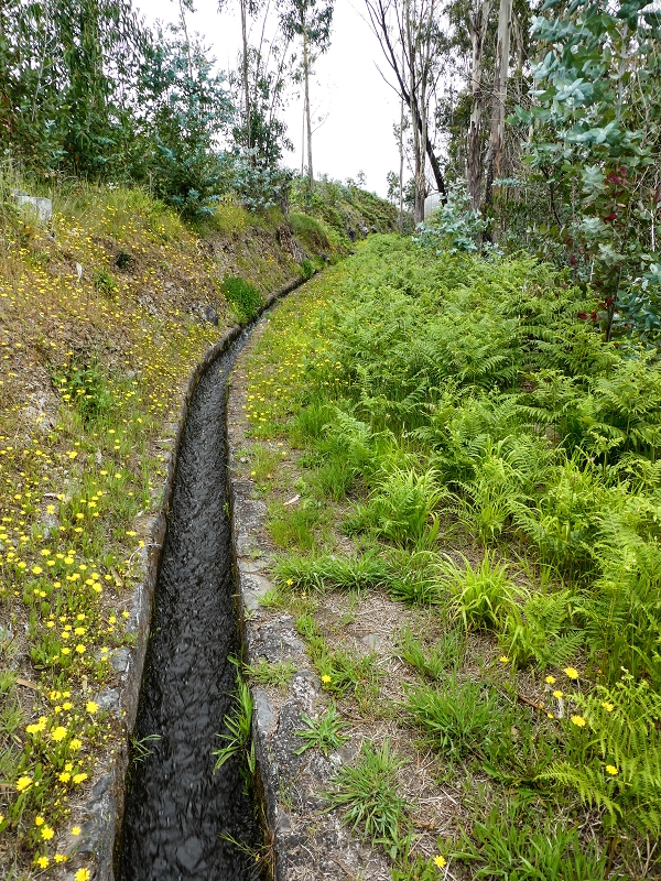 10.05.2019 Von Meia Legua nach Pomar de Rocha, auf die Levada do Lombo do Mouro und Abstieg über Furnas — Der Levada do Lombo do Mouro entlang zum Abstiegsweg nach Furnas — Foto 42
