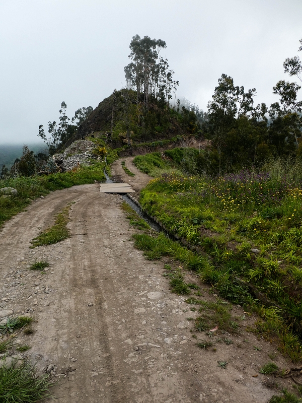 10.05.2019 Von Meia Legua nach Pomar de Rocha, auf die Levada do Lombo do Mouro und Abstieg über Furnas — Der Levada do Lombo do Mouro entlang zum Abstiegsweg nach Furnas — Foto 51