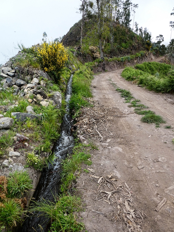 10.05.2019 Von Meia Legua nach Pomar de Rocha, auf die Levada do Lombo do Mouro und Abstieg über Furnas — Der Levada do Lombo do Mouro entlang zum Abstiegsweg nach Furnas — Foto 52