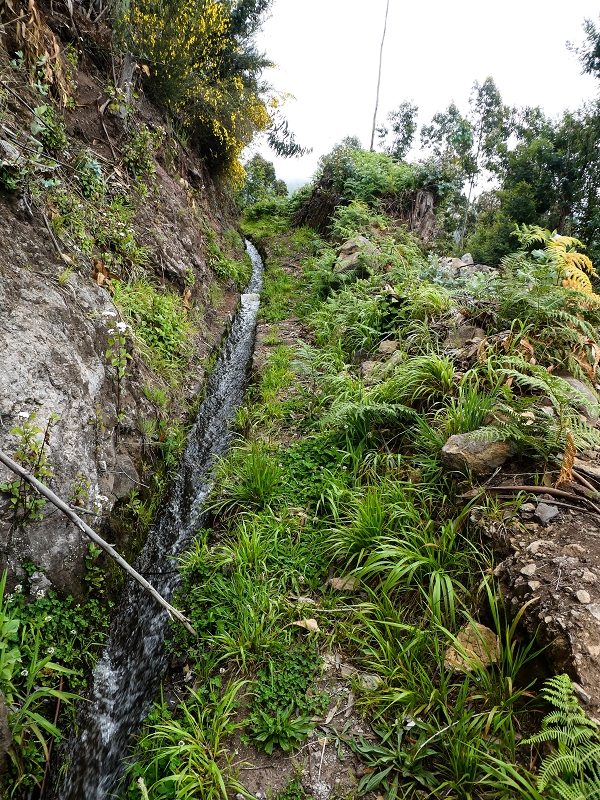 10.05.2019 Von Meia Legua nach Pomar de Rocha, auf die Levada do Lombo do Mouro und Abstieg über Furnas — Der Levada do Lombo do Mouro entlang zum Abstiegsweg nach Furnas — Foto 54