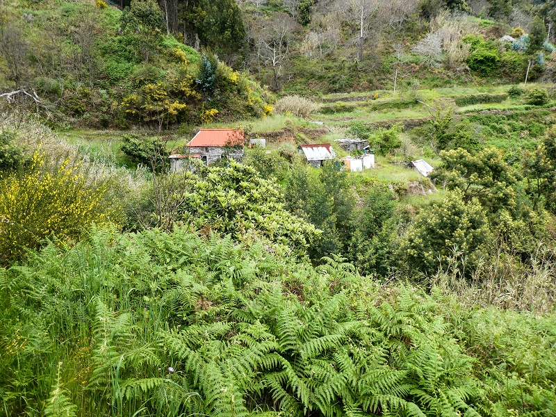 10.05.2019 Von Meia Legua nach Pomar de Rocha, auf die Levada do Lombo do Mouro und Abstieg über Furnas — Abstieg nach Furnas — Foto 6