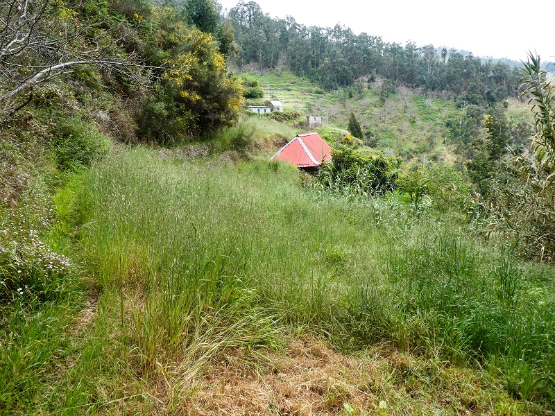 10.05.2019 Von Meia Legua nach Pomar de Rocha, auf die Levada do Lombo do Mouro und Abstieg über Furnas — Abstieg nach Furnas — Foto 10