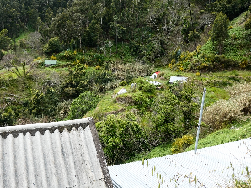 10.05.2019 Von Meia Legua nach Pomar de Rocha, auf die Levada do Lombo do Mouro und Abstieg über Furnas — Abstieg nach Furnas — Foto 11