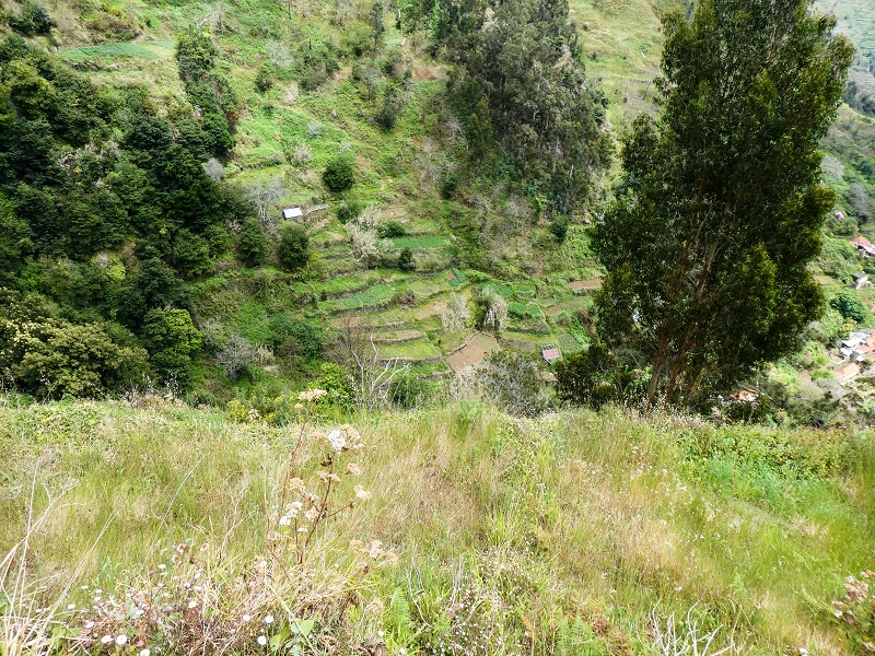 10.05.2019 Von Meia Legua nach Pomar de Rocha, auf die Levada do Lombo do Mouro und Abstieg über Furnas — Abstieg nach Furnas — Foto 13