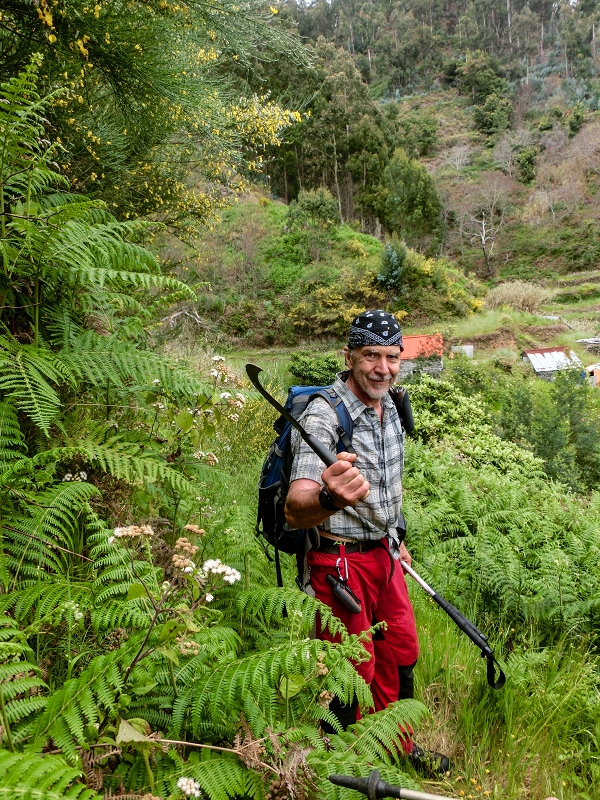 10.05.2019 Von Meia Legua nach Pomar de Rocha, auf die Levada do Lombo do Mouro und Abstieg über Furnas — Abstieg nach Furnas — Foto 17