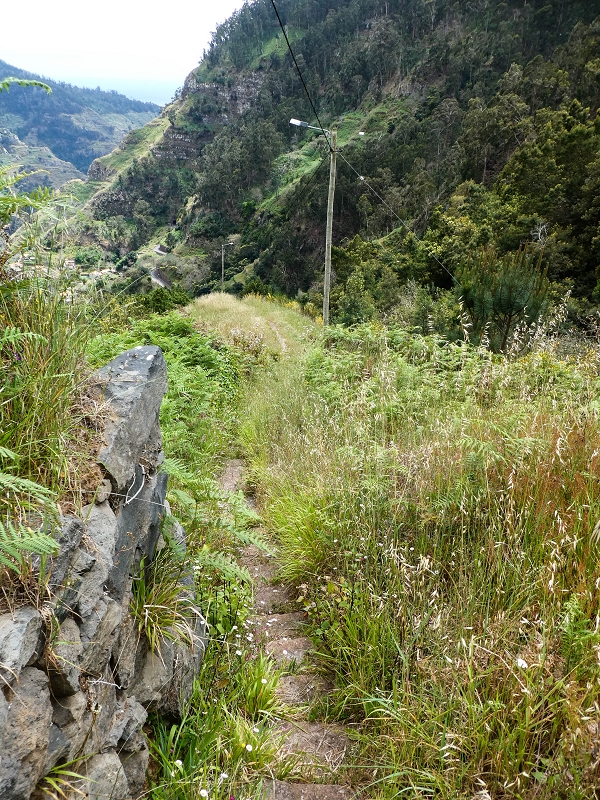 10.05.2019 Von Meia Legua nach Pomar de Rocha, auf die Levada do Lombo do Mouro und Abstieg über Furnas — Abstieg nach Furnas — Foto 18