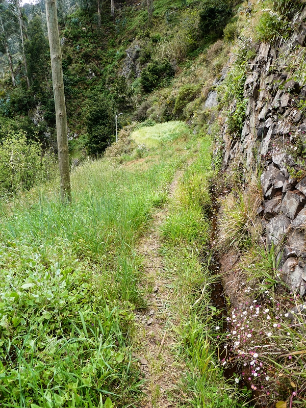 10.05.2019 Von Meia Legua nach Pomar de Rocha, auf die Levada do Lombo do Mouro und Abstieg über Furnas — Abstieg nach Furnas — Foto 21