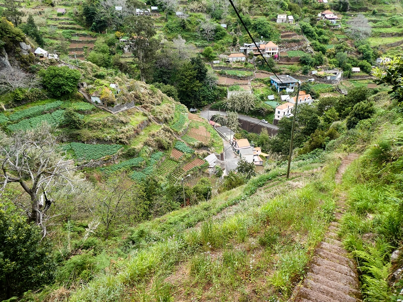 10.05.2019 Von Meia Legua nach Pomar de Rocha, auf die Levada do Lombo do Mouro und Abstieg über Furnas — Abstieg nach Furnas — Foto 24