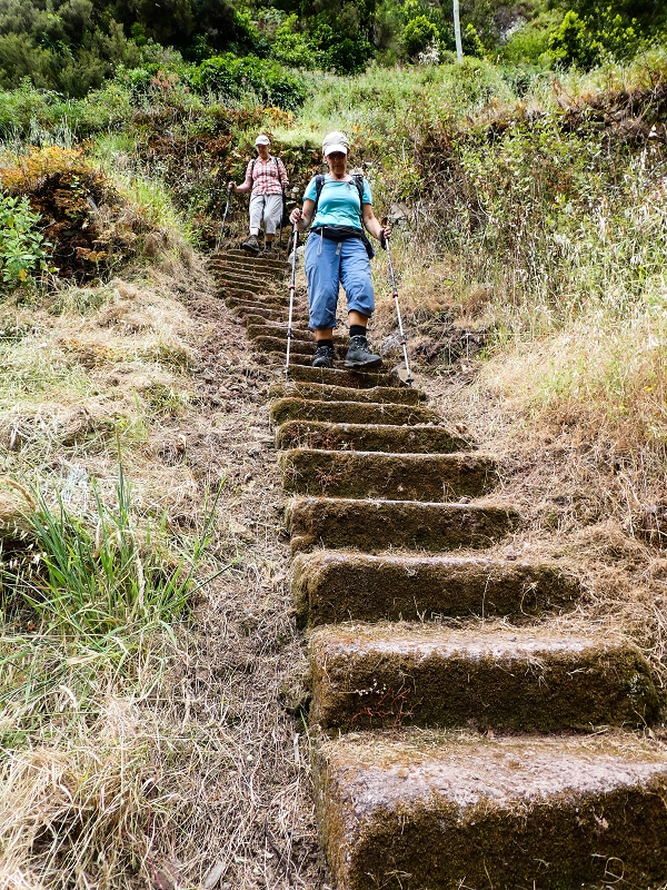 10.05.2019 Von Meia Legua nach Pomar de Rocha, auf die Levada do Lombo do Mouro und Abstieg über Furnas — Abstieg nach Furnas — Foto 25