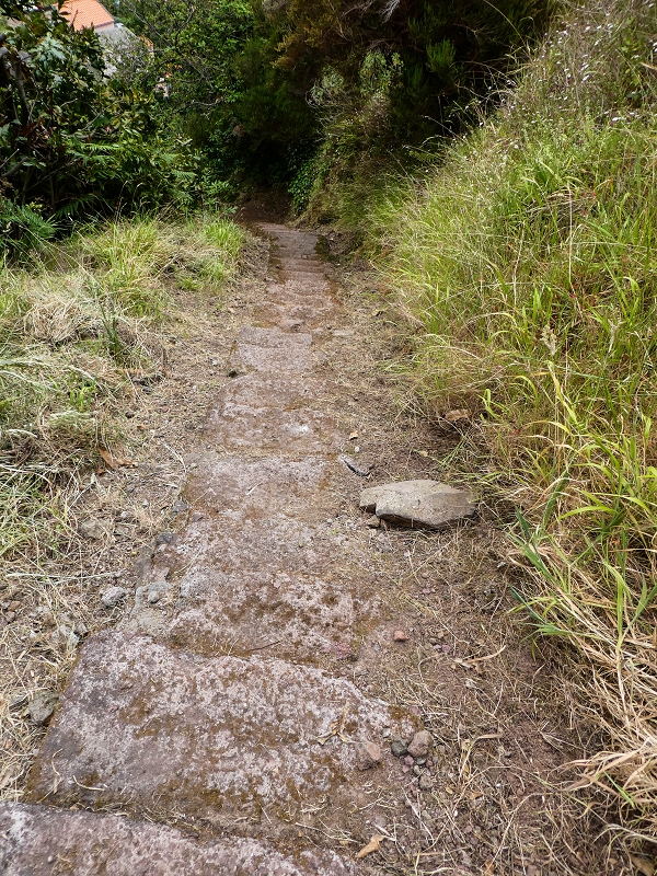 10.05.2019 Von Meia Legua nach Pomar de Rocha, auf die Levada do Lombo do Mouro und Abstieg über Furnas — Abstieg nach Furnas — Foto 26