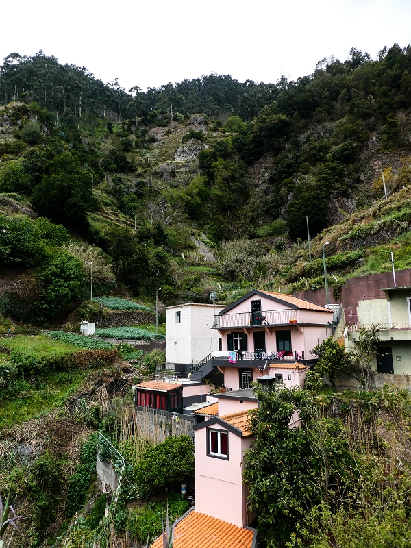 10.05.2019 Von Meia Legua nach Pomar de Rocha, auf die Levada do Lombo do Mouro und Abstieg über Furnas — Abstieg nach Furnas — Foto 27