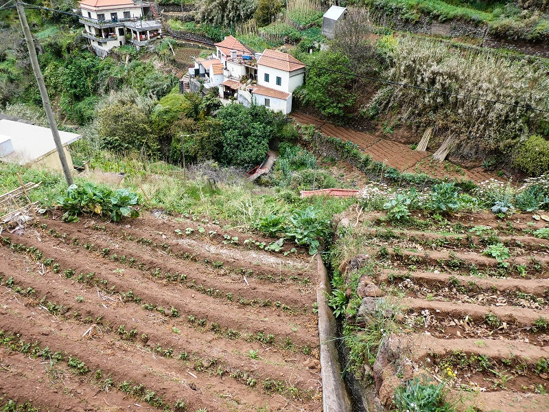 10.05.2019 Von Meia Legua nach Pomar de Rocha, auf die Levada do Lombo do Mouro und Abstieg über Furnas — Abstieg nach Furnas — Foto 28