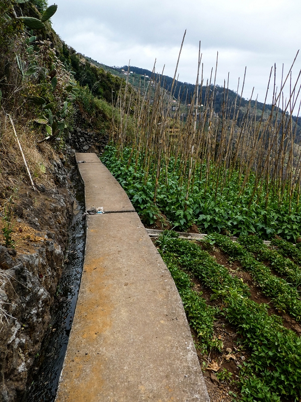 10.05.2019 Von Meia Legua nach Pomar de Rocha, auf die Levada do Lombo do Mouro und Abstieg über Furnas — Zum Miradouro — Foto 1