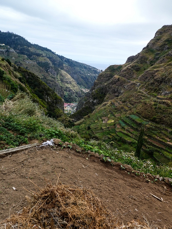 10.05.2019 Von Meia Legua nach Pomar de Rocha, auf die Levada do Lombo do Mouro und Abstieg über Furnas — Zum Miradouro — Foto 2
