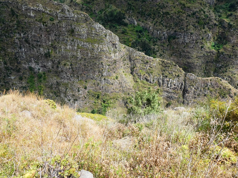 10.05.2019 Von Meia Legua nach Pomar de Rocha, auf die Levada do Lombo do Mouro und Abstieg über Furnas — Zum Miradouro — Foto 6